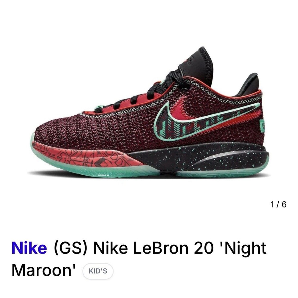 BRAND NEW IN BOX NIKE LEBRON XX SE SIZE 7Y
